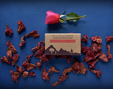 Rhododendron & Rose