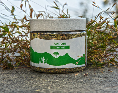 Thyme